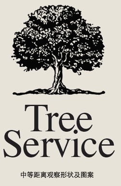 平面設(shè)計(jì)入門(mén) 如何為你的圖片選擇完美的英文字體搭配